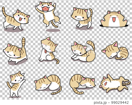 [Set] Cute illustrations of brown tiger white cats ③ / 12 animals 99029442