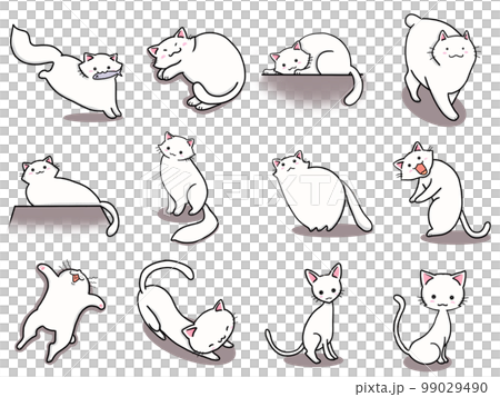 [Set] Cute illustrations of white cats ④/12 animals 99029490