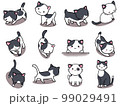 【セット】白黒ネコのかわいいイラスト①/12匹 99029491