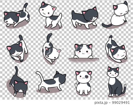 [Set] Cute illustrations of black and white cats (1) / 12 99029491