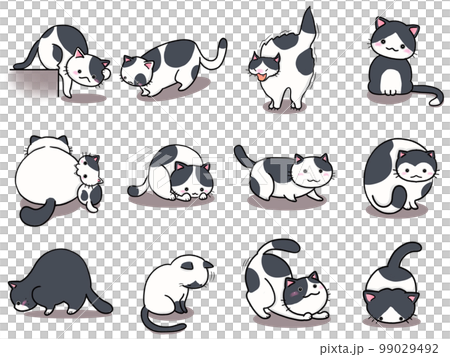 [Set] Cute illustrations of black and white cats ② / 12 animals 99029492