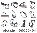 【セット】白黒ネコのかわいいイラスト④/12匹 99029494