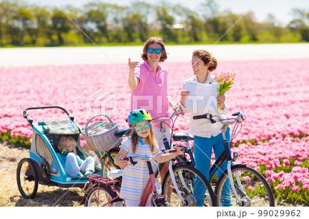 Family on bike in tulip flower fields, Holland 99029962