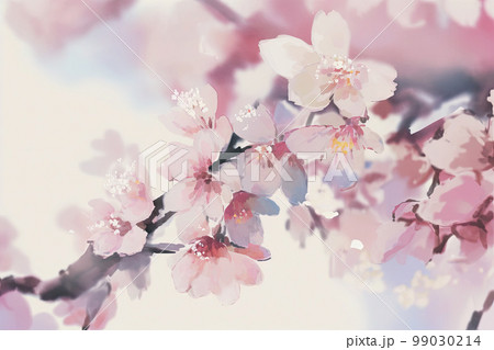 桜の花、水彩画のイラスト素材 [99030214] - PIXTA