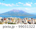 城山公園から望む桜島と鹿児島市街 99031322