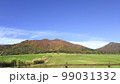 秋の蒜山高原 99031332