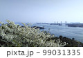 鷲羽山から瀬戸大橋を望む 99031335