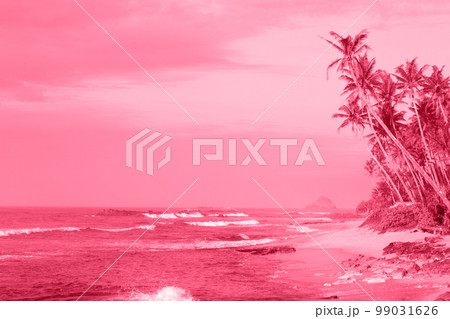 coast with palm trees, toned in pink coast with palm trees, toned in pink 99031626
