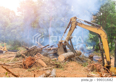 Deforestation work on tractor manipulator uproot trees which lifts logs to prepare land for housing construction. Deforestation work on tractor manipulator uproot trees which lifts logs to prepare land for housing construction. 99031682