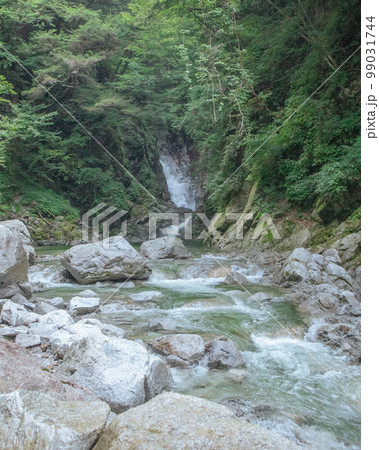 白州・尾白川渓谷の写真素材 [99031744] PIXTA