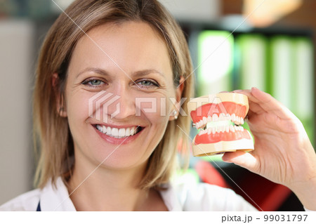 Smiling woman dentist holding model of jaws in her hands close-up. Smiling woman dentist holding model of jaws in her hands close-up. 99031797
