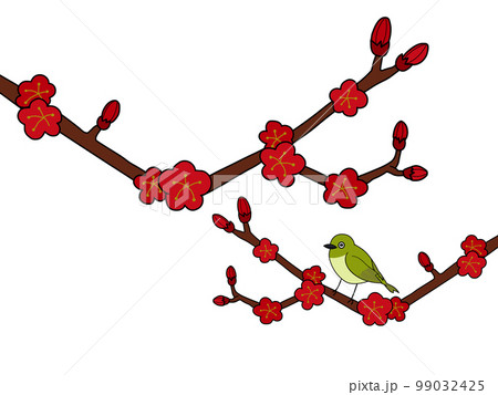 梅の木に止まる鳥（主線あり） 99032425