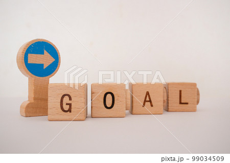 GOAL GOAL 99034509