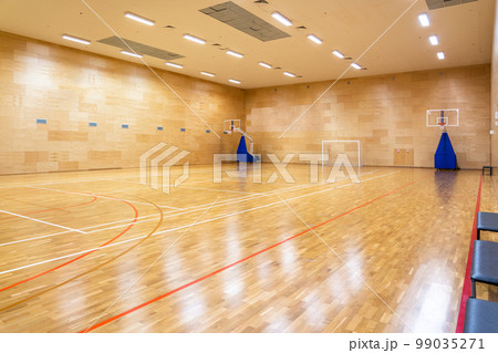 Interior of empty modern basketball or soccer indoor sport court 99035271