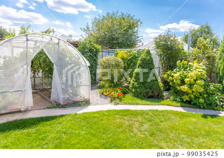 Warm house with tomatoes in private house garden in back yard Warm house with tomatoes in private house garden in back yard 99035425