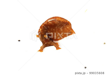 アメフラシ 99035608