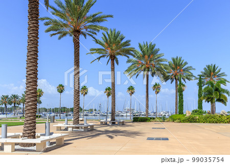 Bay with yachts in St. Petersburg, Florida, USA Bay with yachts in St. Petersburg, Florida, USA 99035754