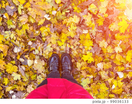 Top view of leather shoes standing on autumn leaves in park Top view of leather shoes standing on autumn leaves in park 99036133