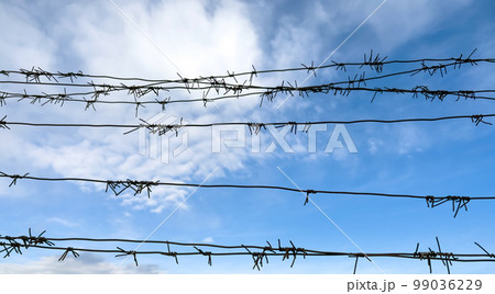 Barbed wire on fence with blue sky on background 99036229