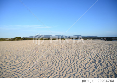 風で模様ができた砂丘 99036768
