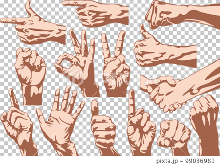 手のジェスチャー いろいろなハンドサインのセット 手のジェスチャー いろいろなハンドサインのセット 99036981