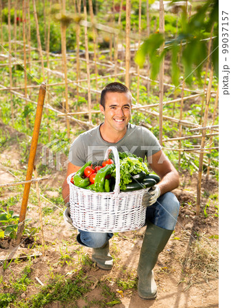 Man professional gardner holding basket with harvest of vegetables 99037157