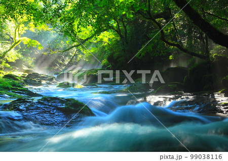光芒の出る夏の菊池渓谷 99038116