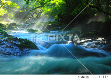 光芒の出る夏の菊池渓谷 光芒の出る夏の菊池渓谷 99038117