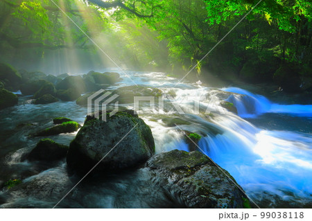 光芒の出る夏の菊池渓谷 99038118