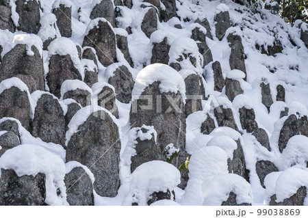 清水寺境内　積雪の千体石仏群（京都市東山区） 99038869