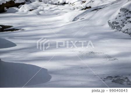 極寒の雪景色と氷と冬の風景 極寒の雪景色と氷と冬の風景 99040843