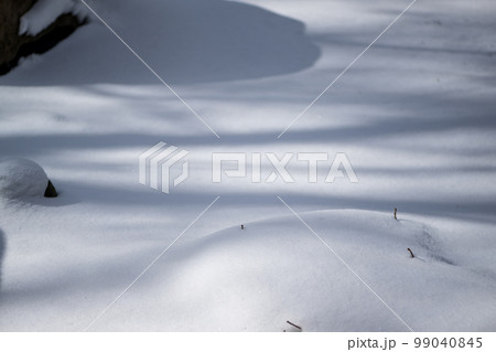 極寒の雪景色と氷と冬の風景 極寒の雪景色と氷と冬の風景 99040845
