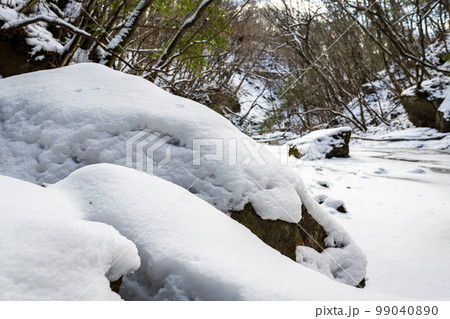 極寒の雪景色と氷と冬の風景 99040890