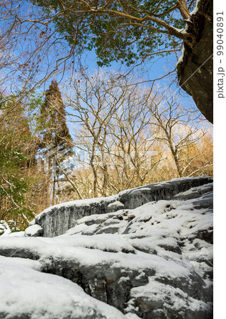 極寒の雪景色と氷と冬の風景 99040891