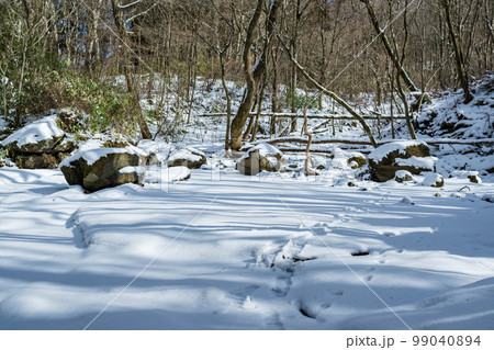 極寒の雪景色と氷と冬の風景 99040894