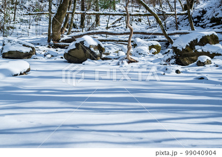極寒の雪景色と氷と冬の風景 99040904