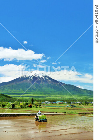山梨県 初夏の青空と田植え風景 そして富士山 山梨県 初夏の青空と田植え風景 そして富士山 99041093