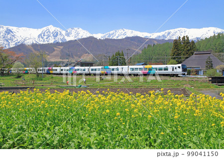 大糸線の5月　E257系 特急あずさ 99041150