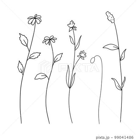 Hand drawn wildflowers. Vector outline flowers sketch. Line art doodle isolated on white background 99041486
