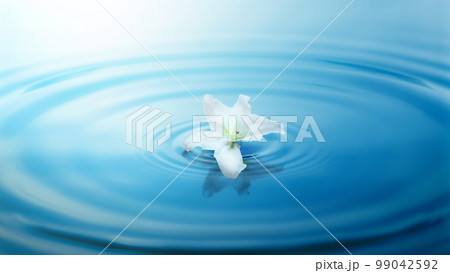 World Water Day 99042592