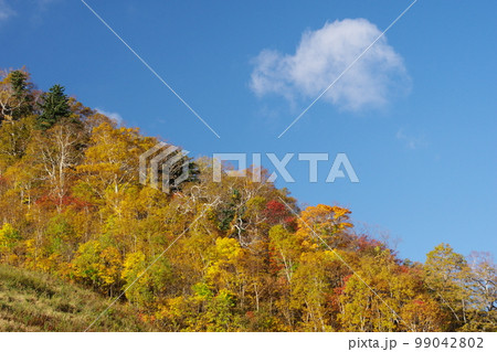 ふわり　ちぎれ雲 99042802