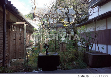 中庭の風景_京都大原三千院 中庭の風景_京都大原三千院 99043599