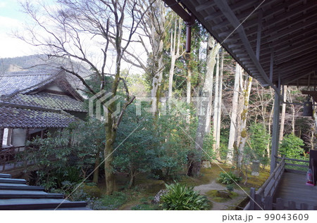 聚碧園と宸殿の風景_京都大原三千院 99043609