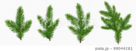 Pine tree branch. Fir twigs with green needles Pine tree branch. Fir twigs with green needles 99044281