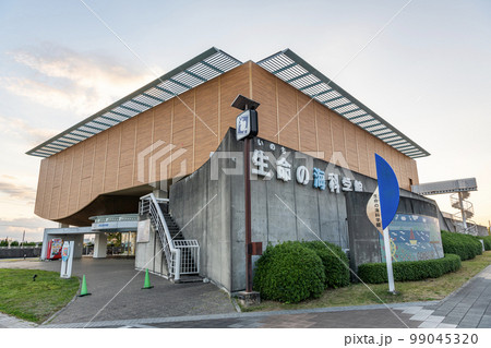 愛知県蒲郡市 家族で楽しめる展示施設 生命の海科学館 愛知県蒲郡市 家族で楽しめる展示施設 生命の海科学館 99045320