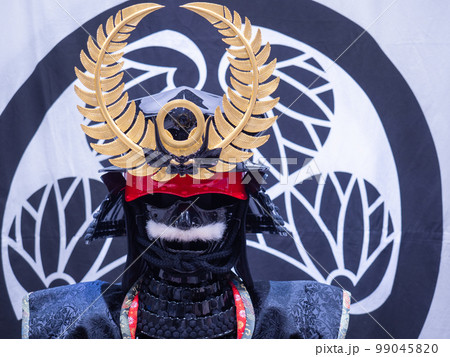 徳川家康　レプリカ甲冑・兜・鎧 99045820