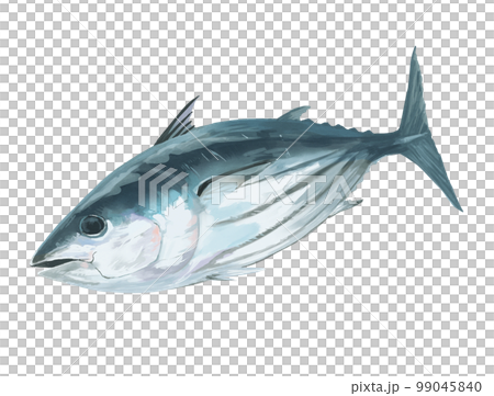 Bonito 99045840
