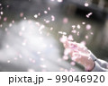 桜吹雪 99046920