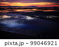 干潟の夜明け 99046921