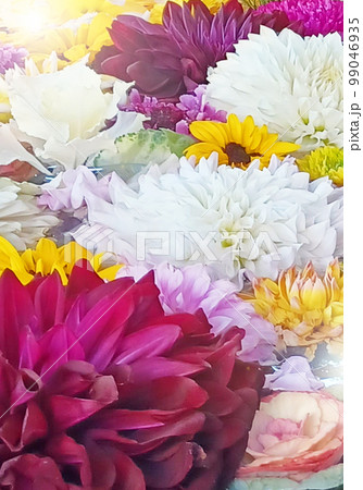 花手水に浮かぶ美しい花々　縦置き 99046935